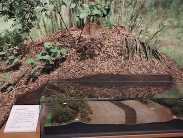 滋賀県立琵琶湖博物館に投稿された画像（2025/5/5）