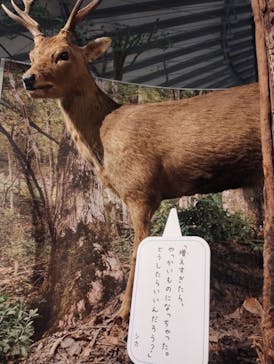 滋賀県立琵琶湖博物館に投稿された画像（2025/5/5）
