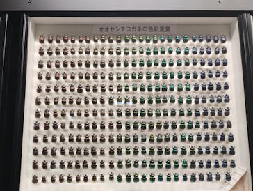 滋賀県立琵琶湖博物館に投稿された画像（2025/5/5）