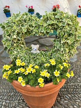 志摩スペイン村パルケエスパーニャに投稿された画像（2025/5/5）