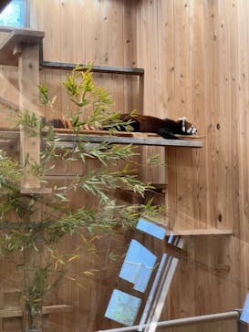 名古屋市東山動植物園に投稿された画像（2025/5/5）