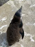 仙台うみの杜水族館に投稿された画像（2025/5/5）