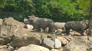 群馬サファリパークに投稿された画像（2025/5/5）