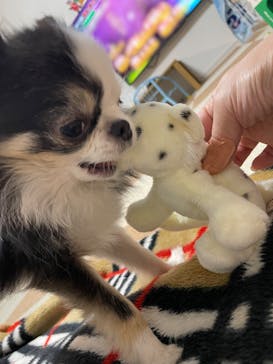 秋田市大森山動物園に投稿された画像（2025/5/5）