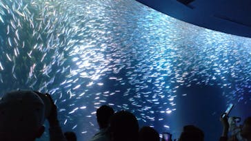 名古屋港水族館に投稿された画像（2025/5/5）
