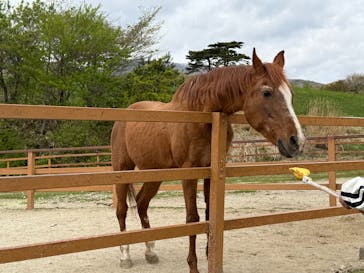那須どうぶつ王国に投稿された画像（2025/5/5）