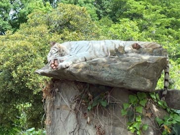 群馬サファリパークに投稿された画像（2025/5/5）