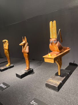 MYSTERY OF TUTANKHAMEN 体感型古代エジプト展に投稿された画像（2025/5/5）