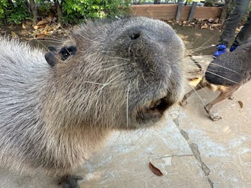 横浜・八景島シーパラダイスに投稿された画像（2025/5/5）