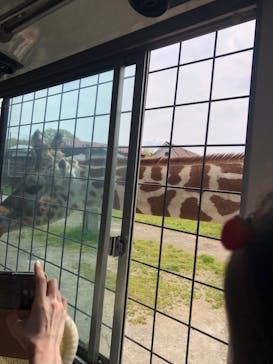 那須サファリパークに投稿された画像（2025/5/5）