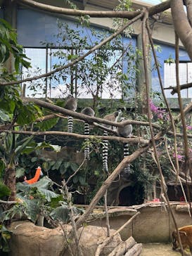 那須どうぶつ王国に投稿された画像（2025/5/5）