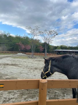 那須どうぶつ王国に投稿された画像（2025/5/5）