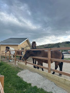 那須どうぶつ王国に投稿された画像（2025/5/5）