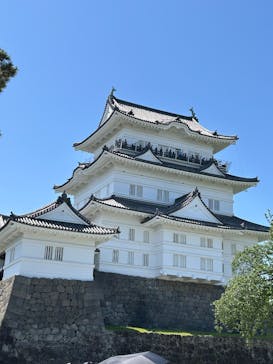 小田原城に投稿された画像（2025/5/5）