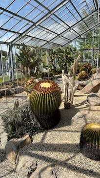 こうべアグリパークネモフィラの丘2025に投稿された画像（2025/5/5）