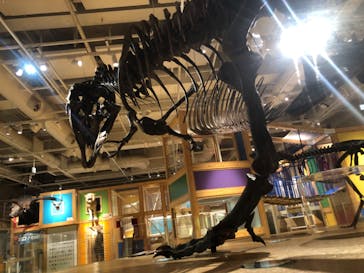 国立科学博物館に投稿された画像（2025/5/5）