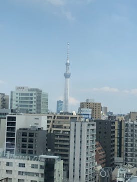 国立科学博物館に投稿された画像（2025/5/5）