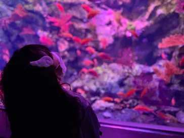 仙台うみの杜水族館に投稿された画像（2025/5/5）