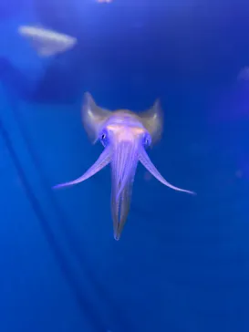 仙台うみの杜水族館に投稿された画像（2025/5/5）