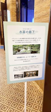 モネ　睡蓮のときに投稿された画像（2025/5/5）