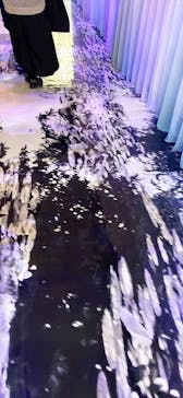 モネ　睡蓮のときに投稿された画像（2025/5/5）