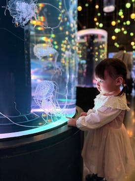 マクセル アクアパーク品川に投稿された画像（2025/5/5）