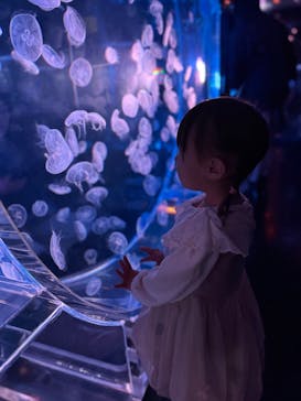 マクセル アクアパーク品川に投稿された画像（2025/5/5）