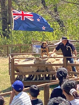 那須どうぶつ王国に投稿された画像（2025/5/5）