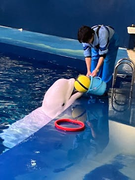 島根県立 しまね海洋館に投稿された画像（2025/5/5）