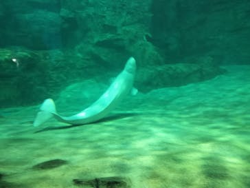 名古屋港水族館に投稿された画像（2025/5/5）