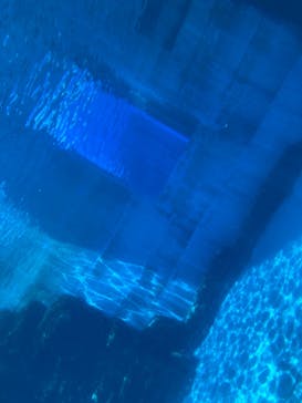 名古屋港水族館に投稿された画像（2025/5/5）