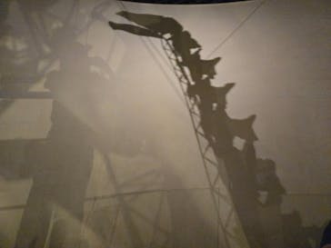 国立科学博物館に投稿された画像（2025/5/5）