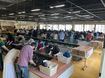 土肥金山に投稿された画像（2025/5/5）