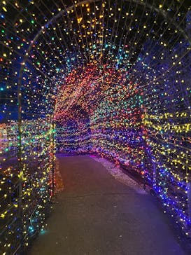 伊豆高原グランイルミに投稿された画像（2025/5/5）