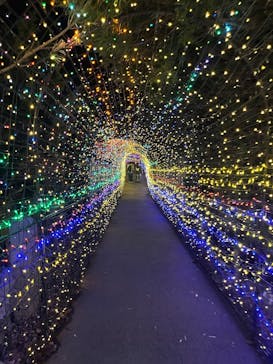 伊豆高原グランイルミに投稿された画像（2025/5/5）