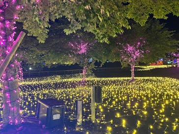 伊豆高原グランイルミに投稿された画像（2025/5/5）