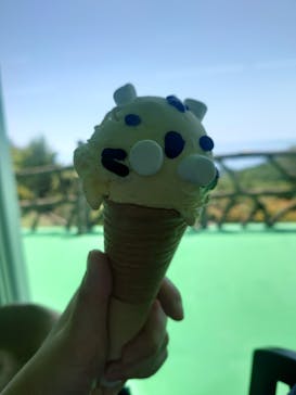 伊豆アニマルキングダムに投稿された画像（2025/5/5）