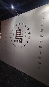 特別展「鳥～ゲノム解析が解き明かす新しい鳥類の系統～」に投稿された画像（2025/5/5）