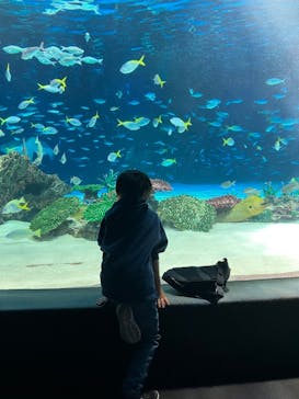 サンシャイン水族館に投稿された画像（2025/5/5）