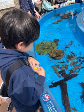 サンシャイン水族館に投稿された画像（2025/5/5）