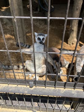 伊豆シャボテン動物公園に投稿された画像（2025/5/5）