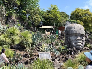 伊豆シャボテン動物公園に投稿された画像（2025/5/5）