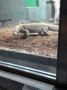 名古屋市東山動植物園に投稿された画像（2025/5/5）