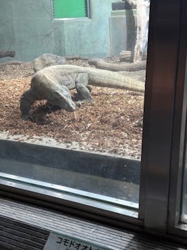 名古屋市東山動植物園に投稿された画像（2025/5/5）