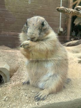 長崎バイオパークに投稿された画像（2025/5/5）