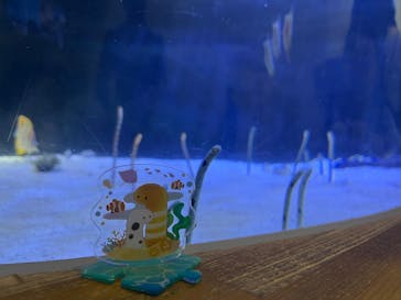 名古屋港水族館に投稿された画像（2025/5/5）