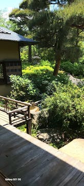 江戸東京たてもの園に投稿された画像（2025/5/5）