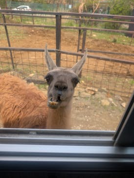 東北サファリパークに投稿された画像（2025/5/5）