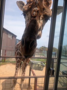 東北サファリパークに投稿された画像（2025/5/5）