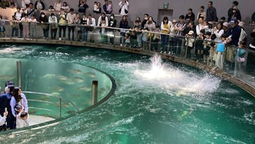 城崎マリンワールドに投稿された画像（2025/5/5）